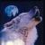 :iconsolar-tsunami: