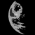 :iconsolatrus: