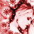 :iconSolica: