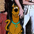 :iconsolidcooties: