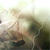 :iconsolidsnake35:
