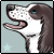 :iconsolie25: