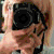 :iconsolil0quist: