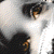 :iconsolipstik: