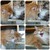 :iconsolitaryloveme: