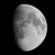 :iconSolitarySerenity: