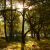 :iconsolitude-of-mine: