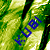 :iconSolitudeAwaits: