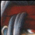 :iconSolja2424: