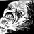:iconsolkelso: