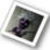 :iconsolledrache: