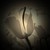 :iconsollux45: