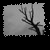 :iconsolminor: