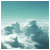 :iconsololead: