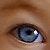 :iconsolomonbright: