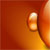 :iconsolomonshampoo: