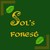 :iconsolsforest: