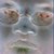 :iconsolshin: