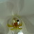 :iconsolstice14: