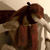 :iconsolstyce: