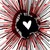 :iconsoltice480: