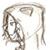 :iconsoma-ito: