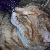 :iconsomanysides: