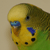 :iconsombraluz-images: