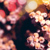 Sombre-Angel :iconsombre-angel:
