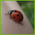 :iconsomeBody-oOo: