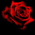 :iconSomerandom00: