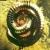 :iconsomewhatdamaged65: