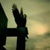 :iconsomnatic: