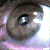 :iconsomnifac: