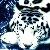 :iconsomniumshadow: