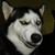 :iconsonamybiggestfan: