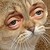 :iconsonar-x: