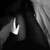 :iconsonatovariusx3: