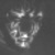 :iconsong-of-silence: