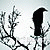:iconSongbird-of-Sorrow: