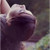 Songs :iconsongs: