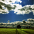 :iconsonic-syndicate: