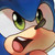 :iconsonic-taylor: