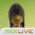 :iconsonicblz: