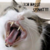 Sonicluffy1 :iconsonicluffy1: