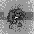 :iconsonicmark-fan-club: