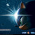 :iconsonicrush47: