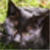 :iconsonnart: