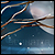 :iconsonnatta: