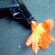 :iconsonneillon-: